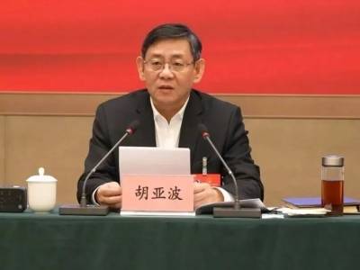 胡亚波任湖北省副省长