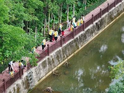 入夏+入汛，“两热”极有可能提前进入活跃期，广东疾控提醒→