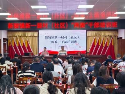 兴宁市新陂镇举办新一届村（社区）“两委”干部履职能力提升培训