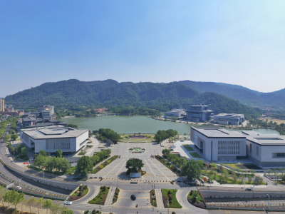 票根别扔！来西樵，一张票解锁全城优惠