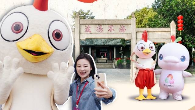 视频｜波罗诞邂逅大湾鸡！海丝穗东让千年庙会“潮”出圈