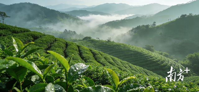 图片由AI生成。