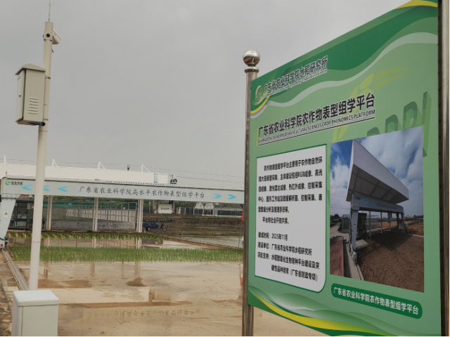 院水稻所牵头建设的高水平农作物表型组学平台现场。