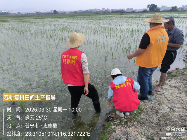 南方农村报 徐建杭 拍摄