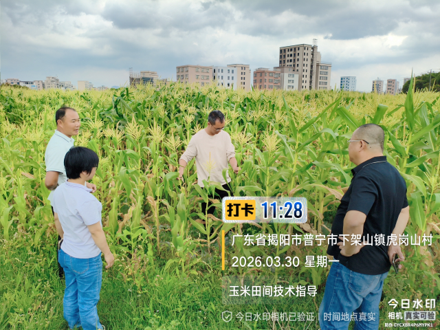 南方农村报 徐建杭 拍摄