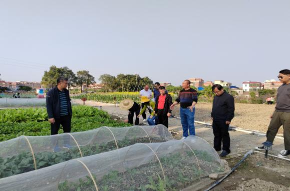 轻骑兵在南海区指导农户进行蔬菜绿色生产