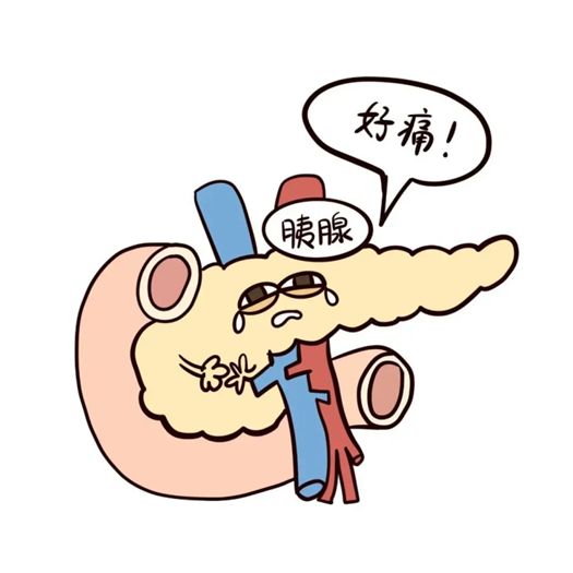 胰腺炎好了也不能“放飞”！康复期怎么吃，才能不复发