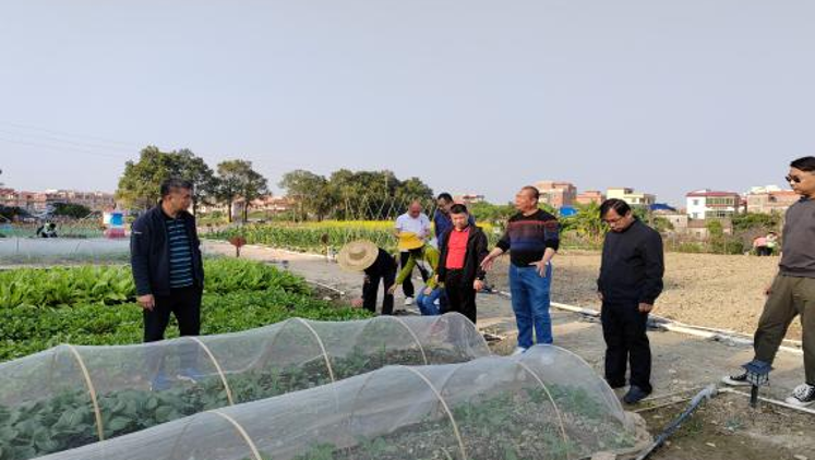 奔走春耕一线！佛山农业科技特派员把技术服务送到田间地头