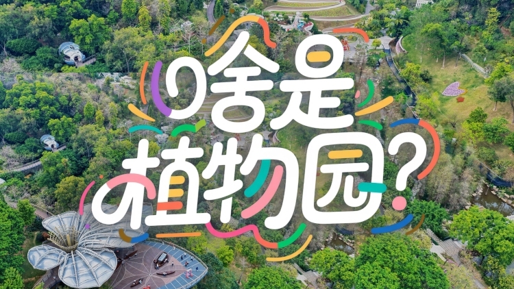啥是植物园？丨寻美南粤