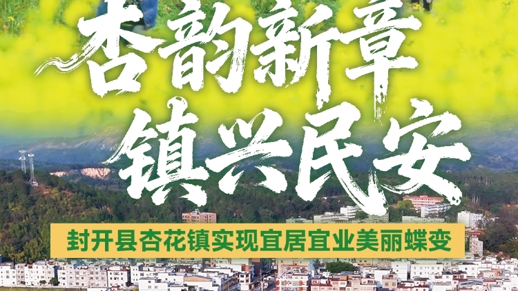 杏韵新章 镇兴民安 ——“百千万工程”绘就杏花镇和美画卷