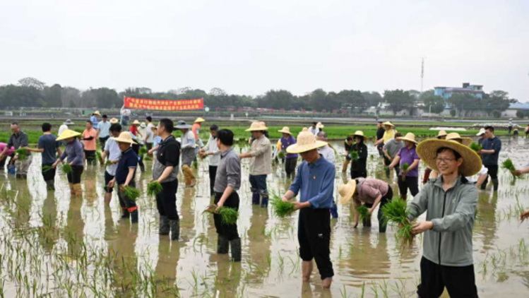 高水平表型组学平台正式启动！省农科院水稻所举办科技助农促春耕活动
