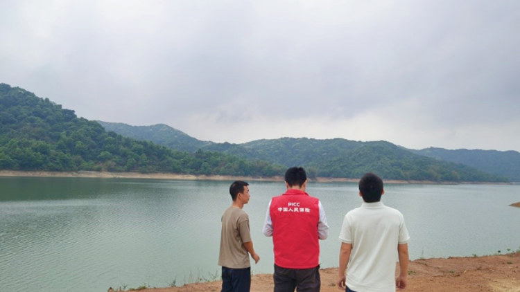 全国首单！广东人保财险在河源落地林业生态指数保险