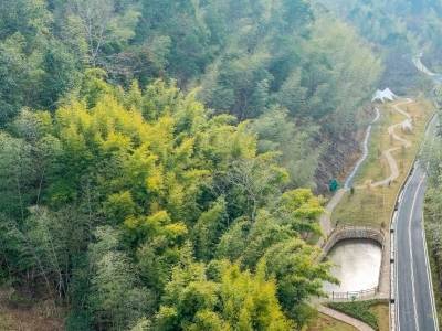 打造绿美广东生态建设样板，蕉岭这样做