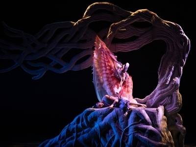 “朱鹮”翩跹，“电波”永续，双周舞蹈盛宴羊城接力登场