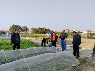 奔走春耕一线！佛山农业科技特派员把技术服务送到田间地头