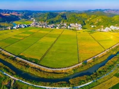 全省首批十亿元级现代农业产业集群，兴宁市丝苗米如何“炼成”?