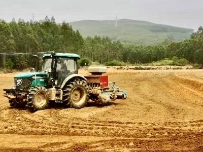 韶关浈江：春耕开播千亩节水抗旱稻，告别 “等雨” 模式