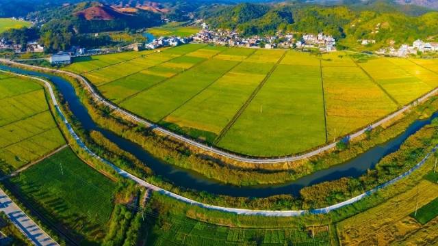 全省首批十亿元级现代农业产业集群，兴宁市丝苗米如何“炼成”?