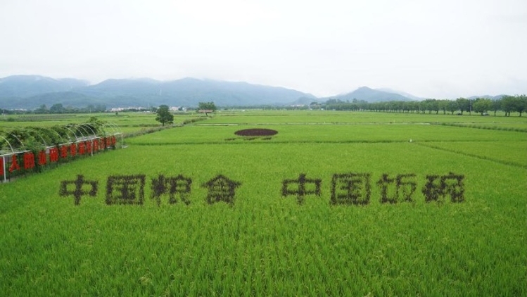 一文读懂广东土壤三普
