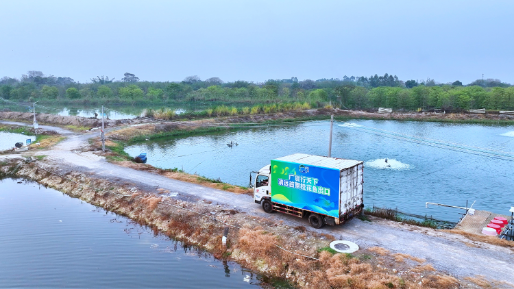 成功开拓海外市场，清新桂花鱼谋划“全链条、高品质”发展新路径