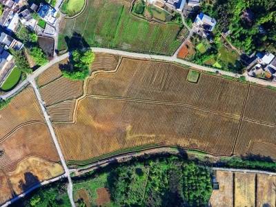 兴宁市石马镇：春耕马力足，良田“转”生机