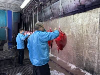 张雪机车夺冠！“北重庆、南江门”与肇庆摩托“扫地僧”