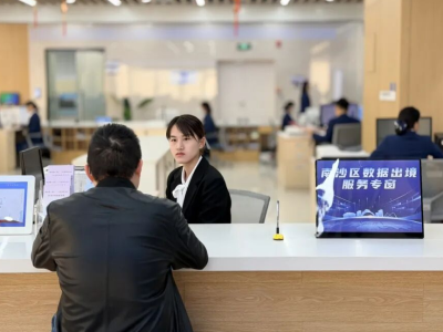 半天就能开企业！南沙上线OPC一人公司服务专区