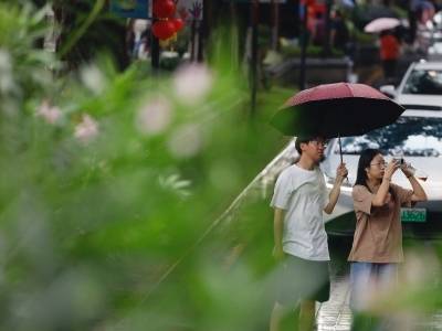 清明风雨“上线”！广东各区域天气形势详解来了