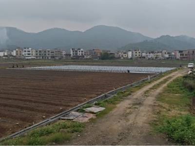 肇庆怀集蓝钟镇：不负春雨好时节，春耕生产掀热潮