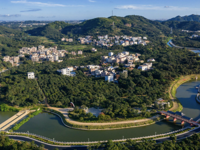 家家住上三层半，“荔枝楼”变身乡村致富新资产｜荔枝花开看柏桥④