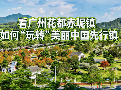 满眼皆绿，看广州花都赤坭镇如何“玩转”美丽中国先行镇 | 探绿广东