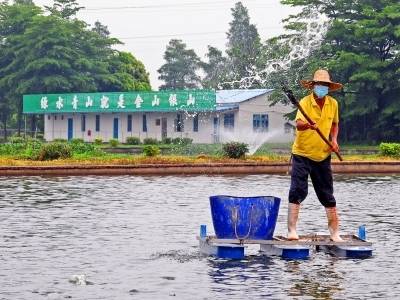 广州花都：鱼塘里的“绿色革命”撬动生态与富民双赢