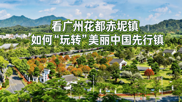 满眼皆绿，看广州花都赤坭镇如何“玩转”美丽中国先行镇 | 探绿广东