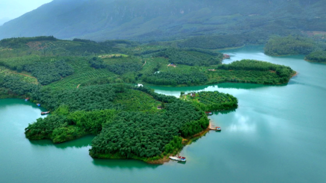 清远签发2026年第1号林长令：严管林业资源，共绘绿美清远新图景