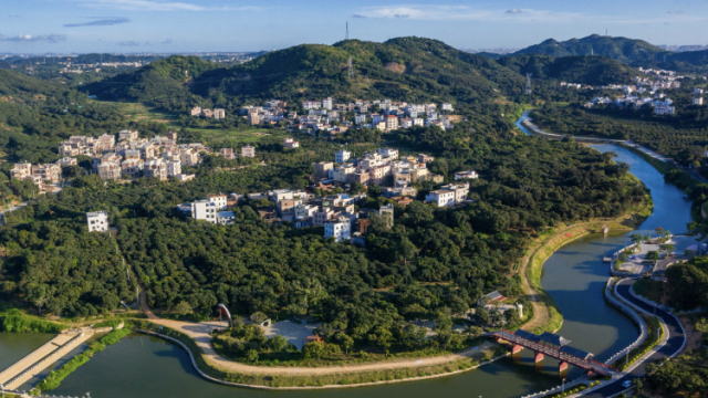 家家住上三层半，“荔枝楼”变身乡村致富新资产｜荔枝花开看柏桥④