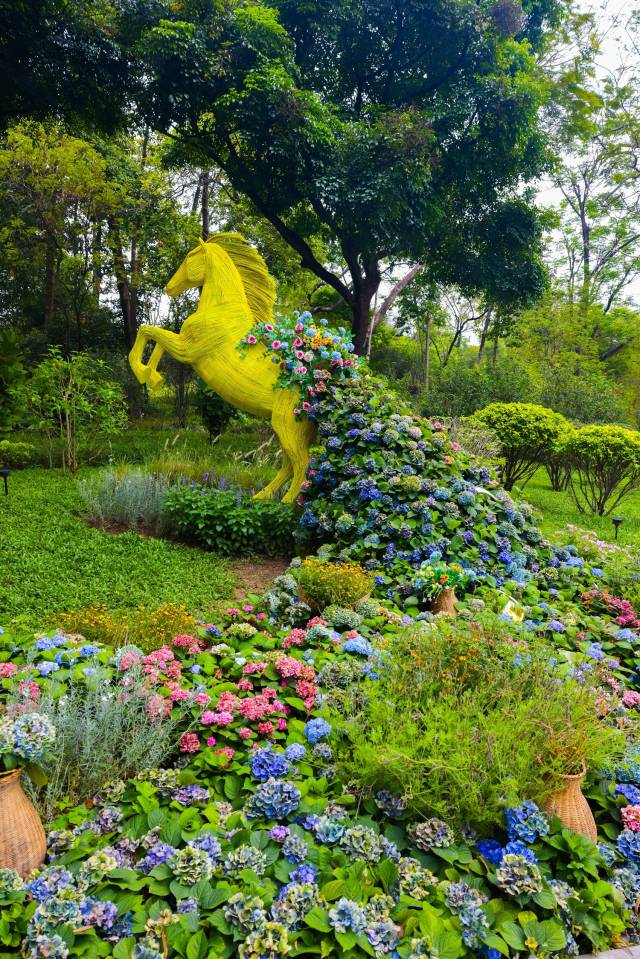 “马上有钱”园林造型，绣球花与“仙马”搭配，场景非常梦幻。