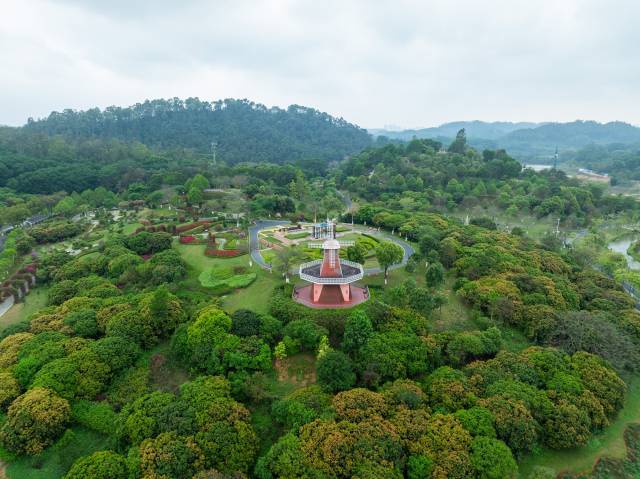 曾经的国营林场，现在摇身一变成了“世界工厂”里的植物世界。