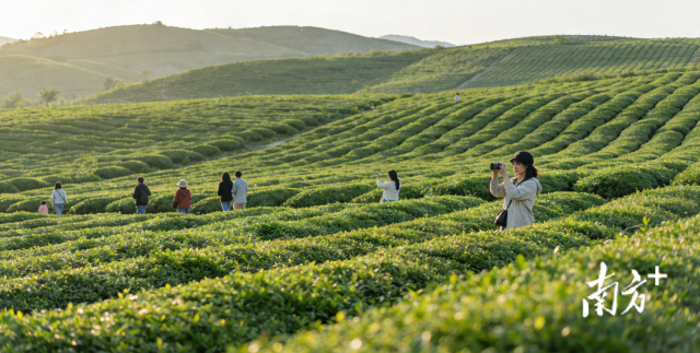 图片由AI生成。