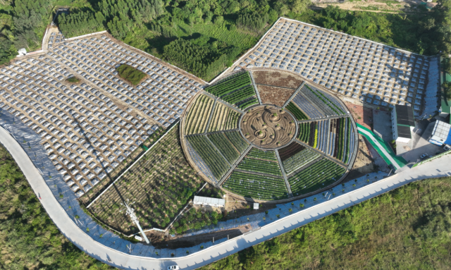 “风洞”种业试验场