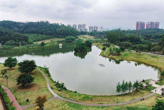 春日的大王山绿意盎然。