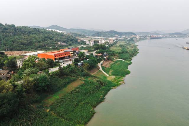 在西江边吹吹风，为身体“充充电”。