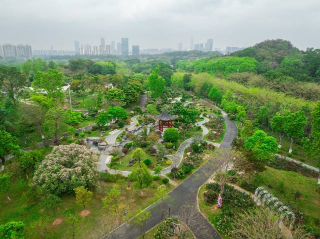 春日的东莞植物园，是清明踏青的好去处。