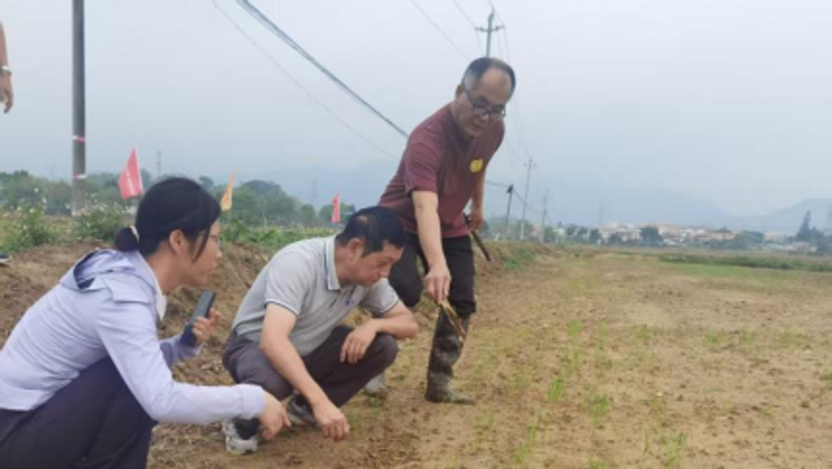 产业先行定标准，科技赋能新良田——华农生态邀请首席科学家罗利军指导四会全域土地整治