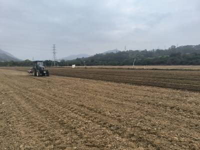 多方携手共建复耕复种示范基地