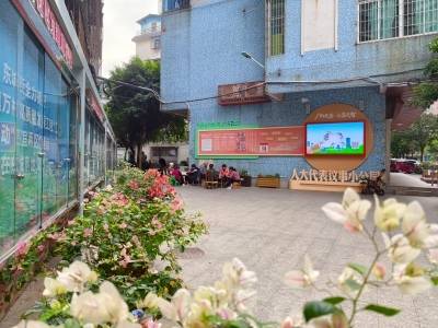 清城区东城街道：做实绿美文章，串起城市风景线