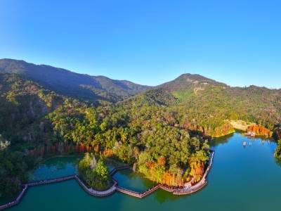 吴晓晖调研督导绿美江门生态建设