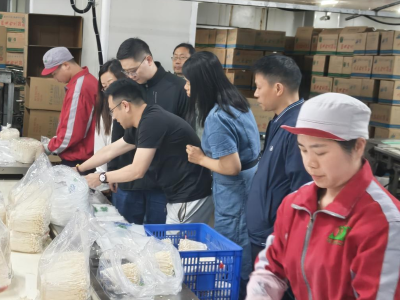 仲恺农业工程学院科技特派员团队赴丰顺县开展产学研调研