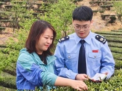 茶香漫山野，税暖润心田 ！丰顺县税务局开展“进茶乡送服务”活动