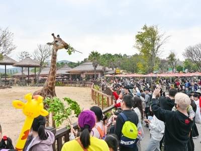 清风拂穗 远景可期｜一文速览《南方日报·清远观察》第2178期