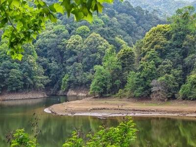 习言道｜连续14年参加首都义务植树，总书记关切这件大事